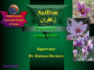 safron